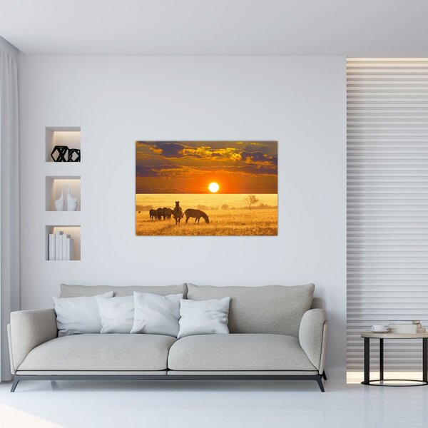 Kép - Zebrák naplementével (90x60 cm)
