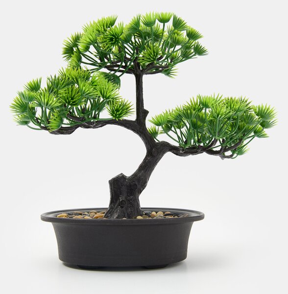 Sinsay - Bonsai fa cserépben - zöld