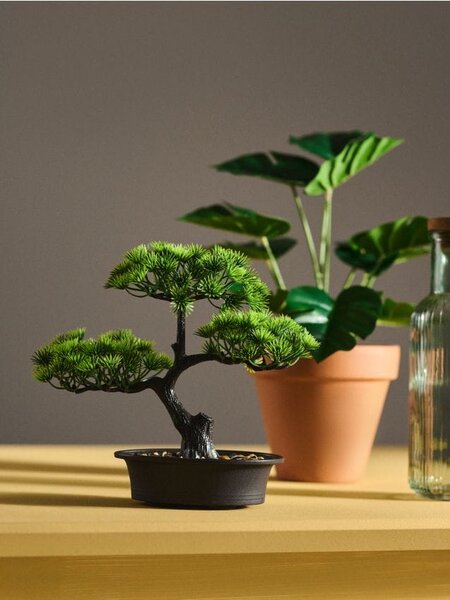 Sinsay - Bonsai fa cserépben - zöld