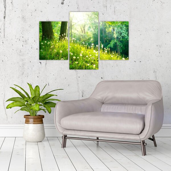 Kép - Varázslatos rét tele pitypanggal (90x60 cm)