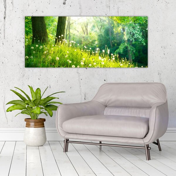 Kép - Varázslatos rét tele pitypanggal (120x50 cm)