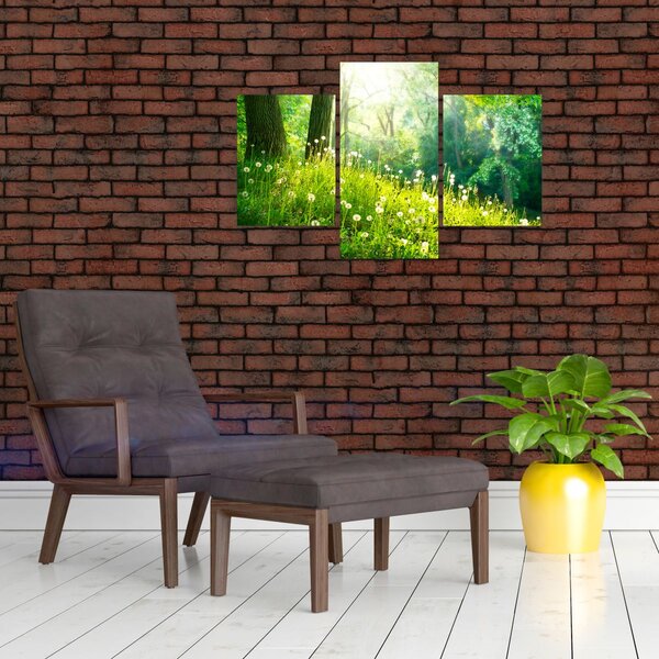 Kép - Varázslatos rét tele pitypanggal (90x60 cm)