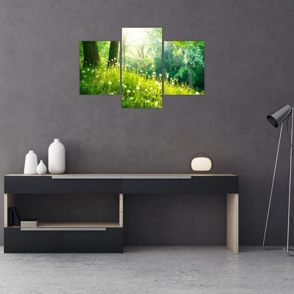 Kép - Varázslatos rét tele pitypanggal (90x60 cm)