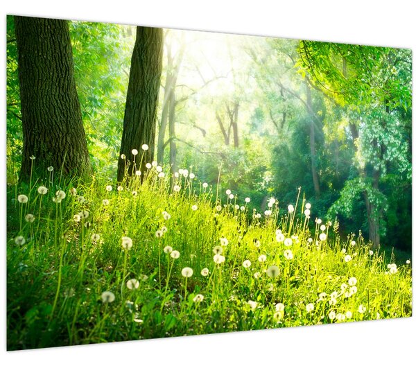 Kép - Varázslatos rét tele pitypanggal (90x60 cm)