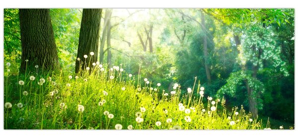 Kép - Varázslatos rét tele pitypanggal (120x50 cm)