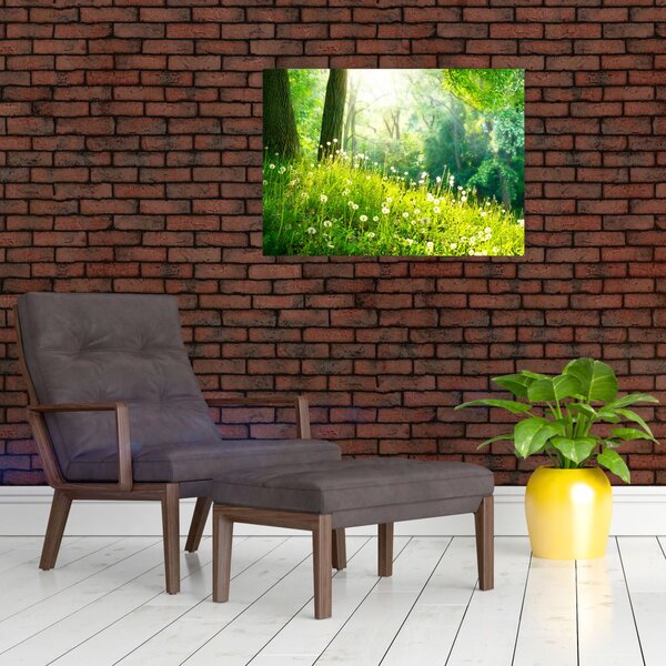 Kép - Varázslatos rét tele pitypanggal (70x50 cm)