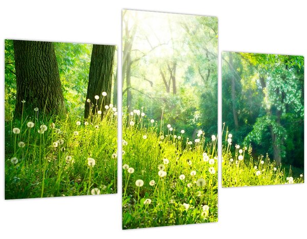 Kép - Varázslatos rét tele pitypanggal (90x60 cm)
