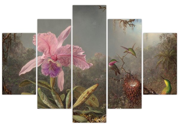 Kép - Martin Johnson Heade, Cattleya Orchid and Three Hummingbirds, reprodukciók (150x105 cm)