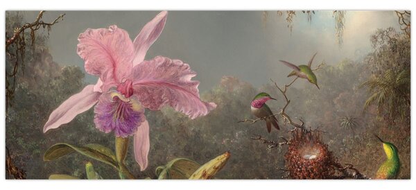 Kép - Martin Johnson Heade, Cattleya Orchid and Three Hummingbirds, reprodukciók (120x50 cm)