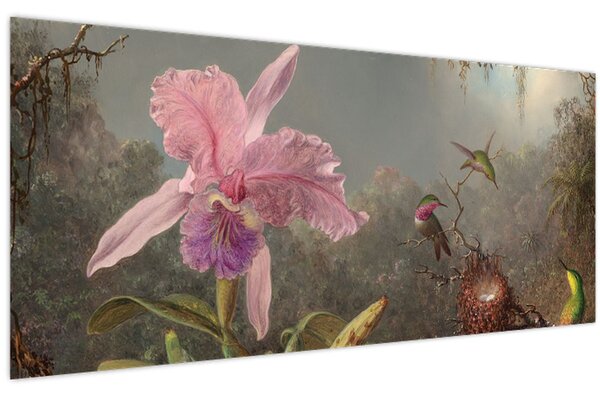 Kép - Martin Johnson Heade, Cattleya Orchid and Three Hummingbirds, reprodukciók (120x50 cm)
