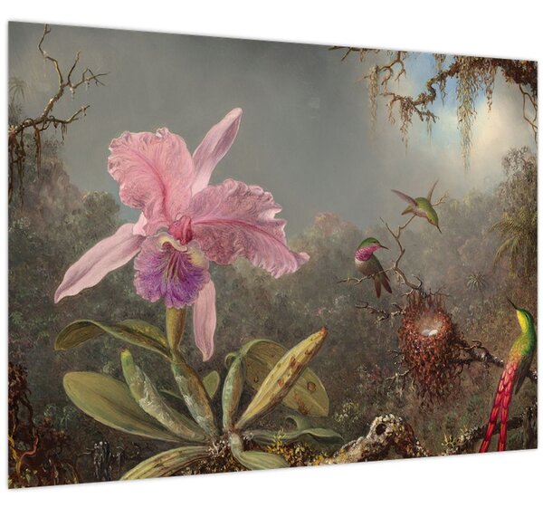 Kép - Martin Johnson Heade, Cattleya Orchid and Three Hummingbirds, reprodukciók (70x50 cm)