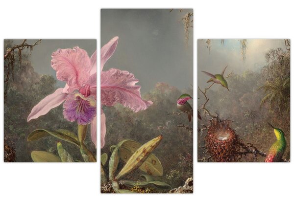 Kép - Martin Johnson Heade, Cattleya Orchid and Three Hummingbirds, reprodukciók (90x60 cm)