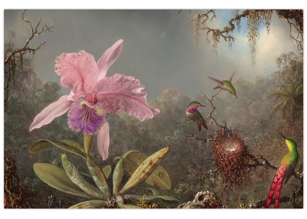 Kép - Martin Johnson Heade, Cattleya Orchid and Three Hummingbirds, reprodukciók (90x60 cm)