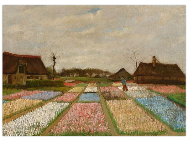Kép - Vincent van Gogh, Flower Beds in Holland, reprodukciók (70x50 cm)