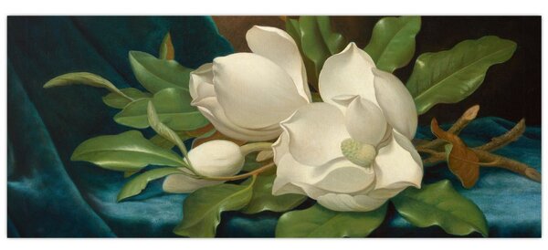 Kép - Martin Johnson Heade, Giant Magnolias on a Blue Velvet Cloth, reprodukciók (120x50 cm)