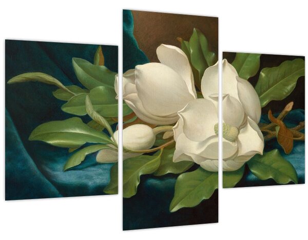 Kép - Martin Johnson Heade, Giant Magnolias on a Blue Velvet Cloth, reprodukciók (90x60 cm)