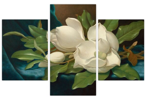 Kép - Martin Johnson Heade, Giant Magnolias on a Blue Velvet Cloth, reprodukciók (90x60 cm)