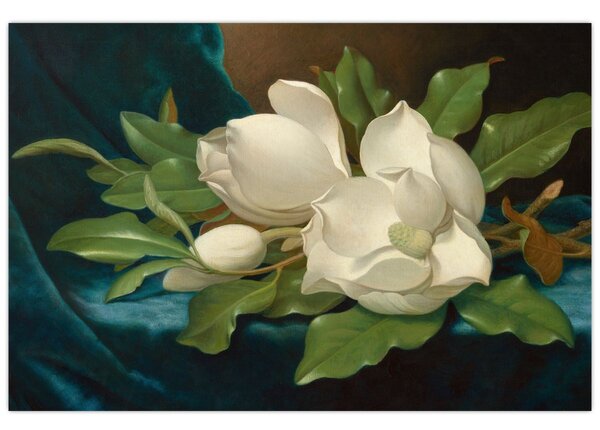 Kép - Martin Johnson Heade, Giant Magnolias on a Blue Velvet Cloth, reprodukciók (90x60 cm)