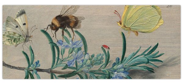Kép - Jan van Kessel the Elder, Insects and a Sprig of Rosemary, reprodukciók (120x50 cm)