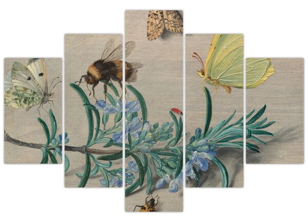 Kép - Jan van Kessel the Elder, Insects and a Sprig of Rosemary, reprodukciók (150x105 cm)