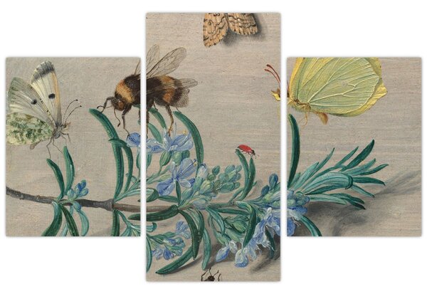 Kép - Jan van Kessel the Elder, Insects and a Sprig of Rosemary, reprodukciók (90x60 cm)