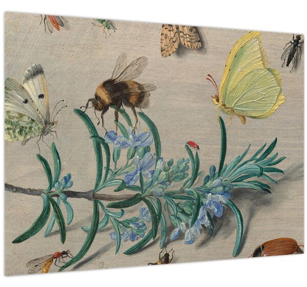 Kép - Jan van Kessel the Elder, Insects and a Sprig of Rosemary, reprodukciók (70x50 cm)