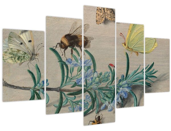 Kép - Jan van Kessel the Elder, Insects and a Sprig of Rosemary, reprodukciók (150x105 cm)