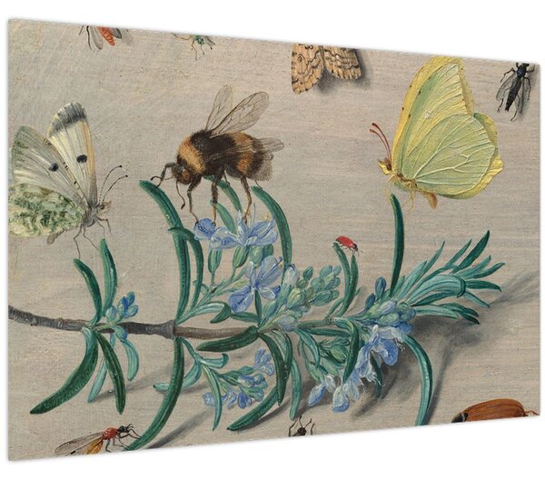 Kép - Jan van Kessel the Elder, Insects and a Sprig of Rosemary, reprodukciók (90x60 cm)