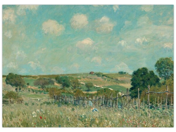 Kép - Alfred Sisley, Meadow, reprodukciók (70x50 cm)
