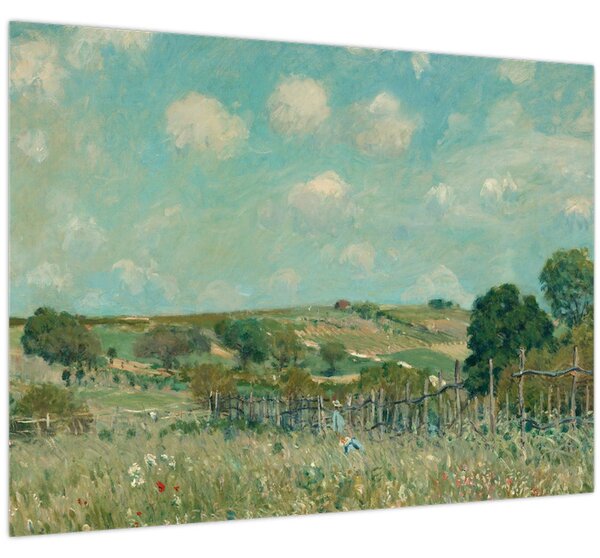 Kép - Alfred Sisley, Meadow, reprodukciók (70x50 cm)