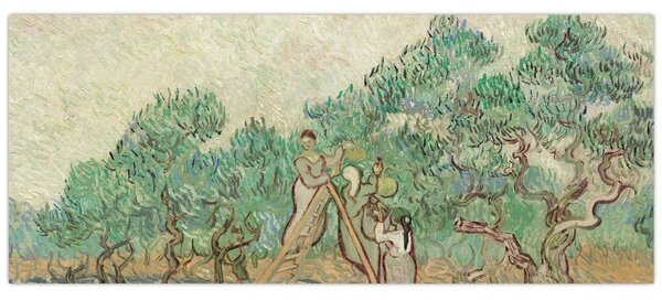 Kép - Vincent van Gogh, The Olive Orchard, reprodukciók (120x50 cm)
