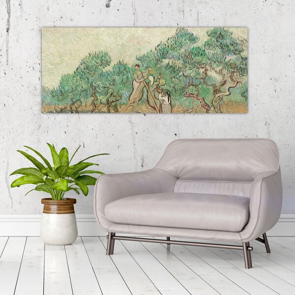 Kép - Vincent van Gogh, The Olive Orchard, reprodukciók (120x50 cm)