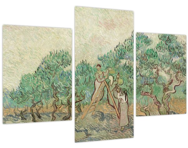 Kép - Vincent van Gogh, The Olive Orchard, reprodukciók (90x60 cm)