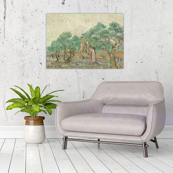 Kép - Vincent van Gogh, The Olive Orchard, reprodukciók (70x50 cm)