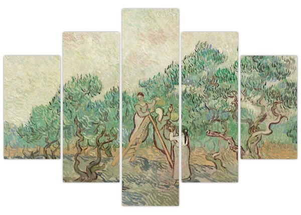 Kép - Vincent van Gogh, The Olive Orchard, reprodukciók (150x105 cm)