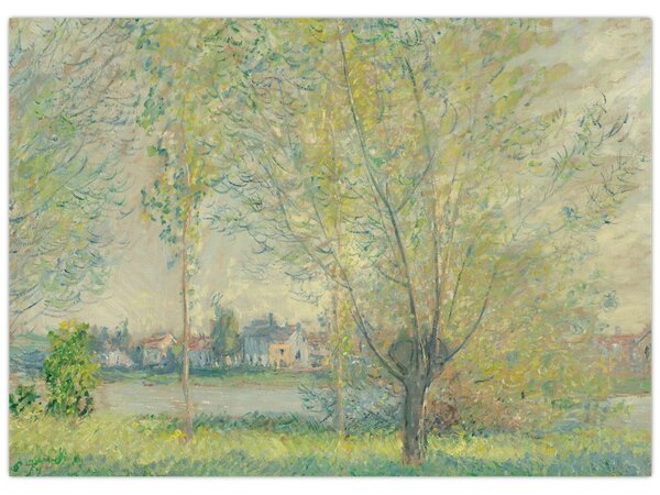 Kép - Claude Monet, The Willows, reprodukciók (70x50 cm)