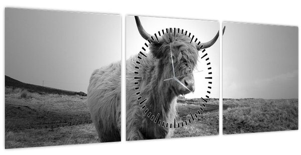 Kép - Skót tehén, fekete-fehér (órával) (90x30 cm)