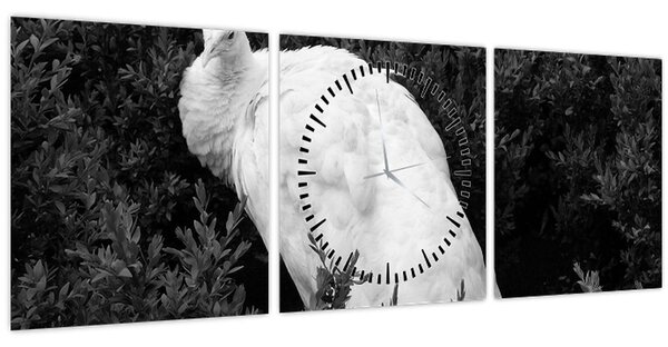 Kép - Páva, fekete-fehér (órával) (90x30 cm)