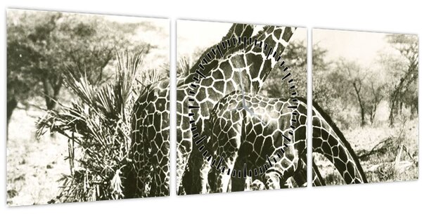 Kép - Zsiráfok, vintage (órával) (90x30 cm)
