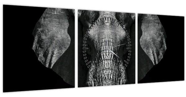 Kép - Elefánt fekete háttérrel (órával) (90x30 cm)
