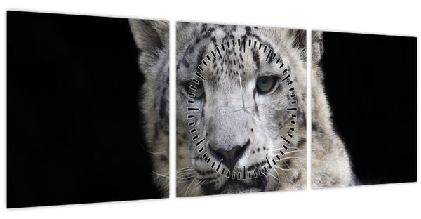 Kép - Snow Leopard (órával) (90x30 cm)