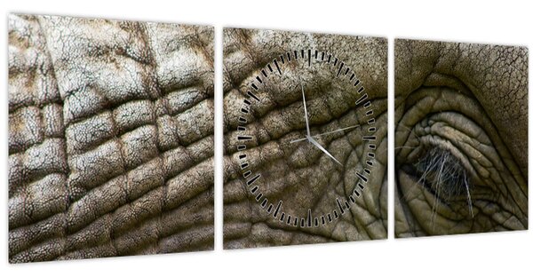 Kép - Közelkép az öreg elefánt szeméről (órával) (90x30 cm)