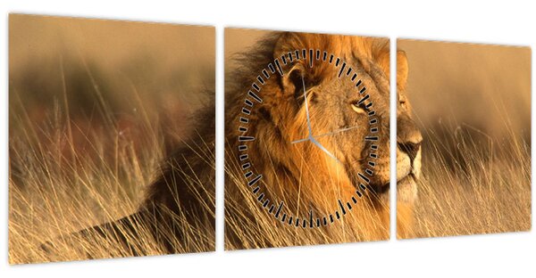 Kép - Etosha Nemzeti Park (órával) (90x30 cm)