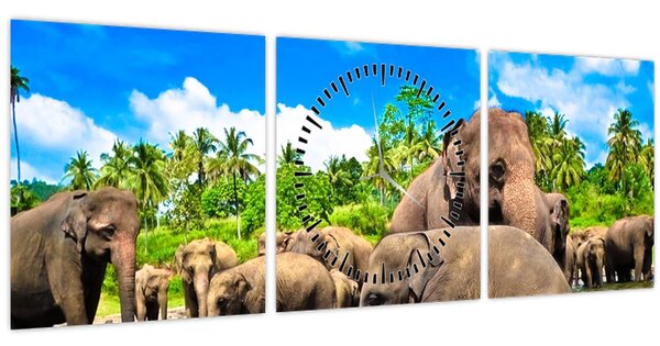Kép - Elefántok, Sri Lanka (órával) (90x30 cm)