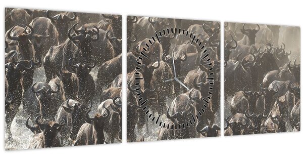 Kép - Gnúcsorda (órával) (90x30 cm)