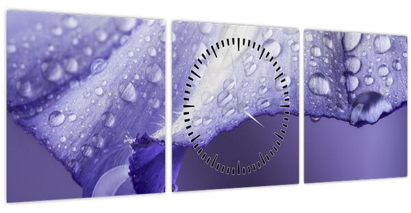 Kép - Szirom cseppekkel (órával) (90x30 cm)