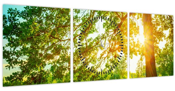 Kép - Sunny Forest (órával) (90x30 cm)
