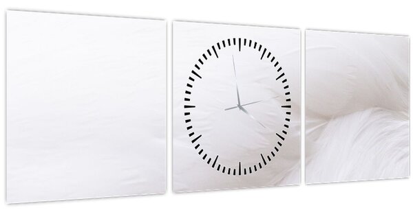 Kép - Fehér toll (órával) (90x30 cm)