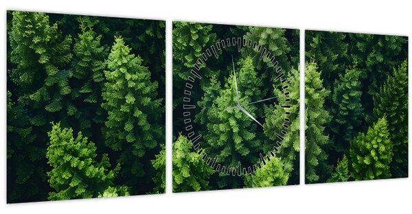Kép - Forest (órával) (90x30 cm)