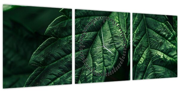 Kép - A lap részletei (órával) (90x30 cm)